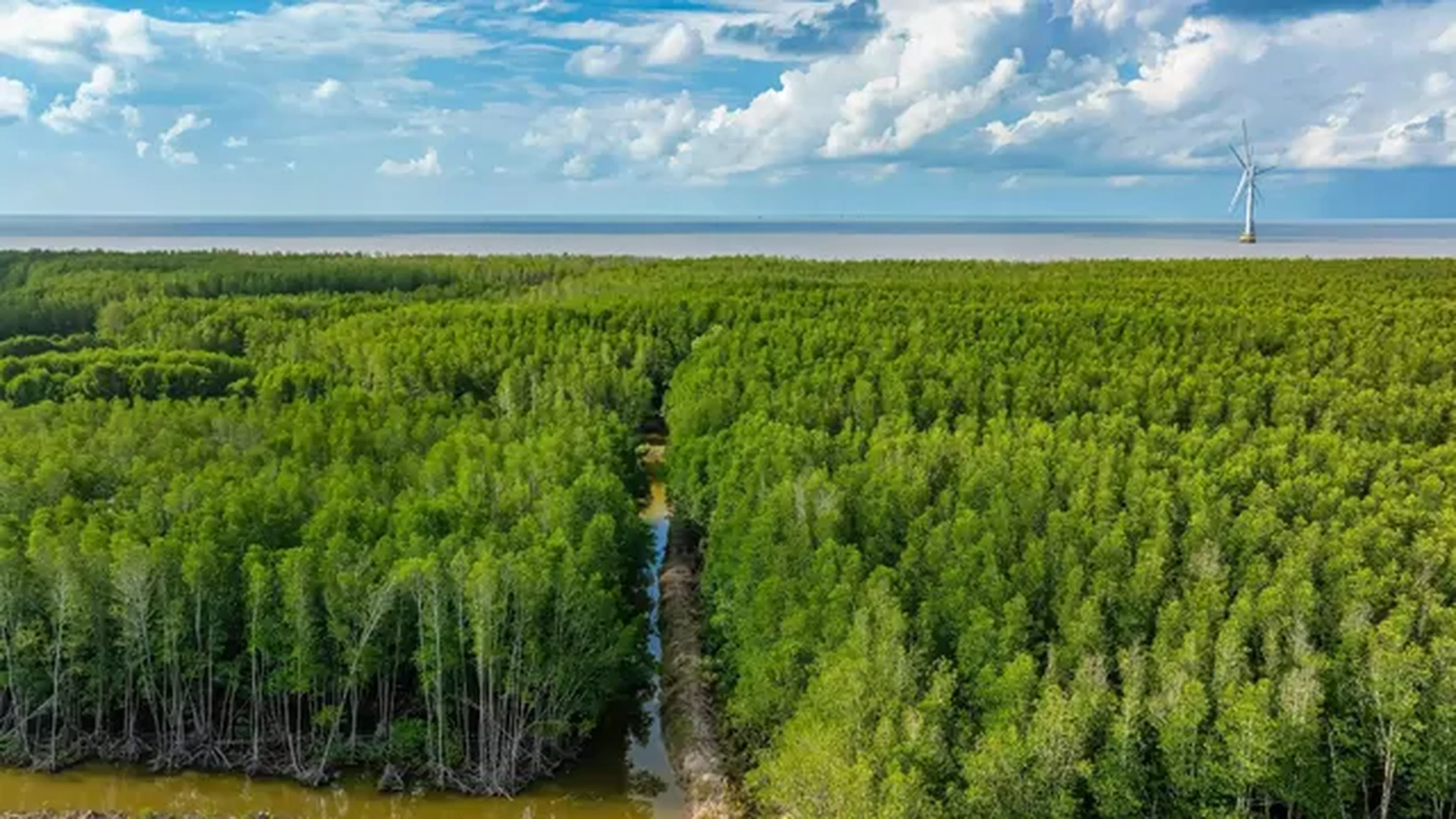 Филиал в Кханьхоа — ООО «Saigontourist Travel Services» - Hình 4